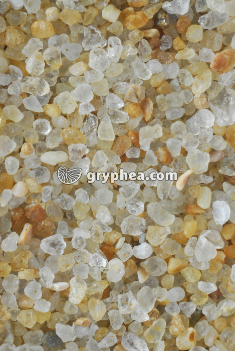 Sable quartzeux - Plage de La Baule (Loire Atlantique) x4 - gryphea.org